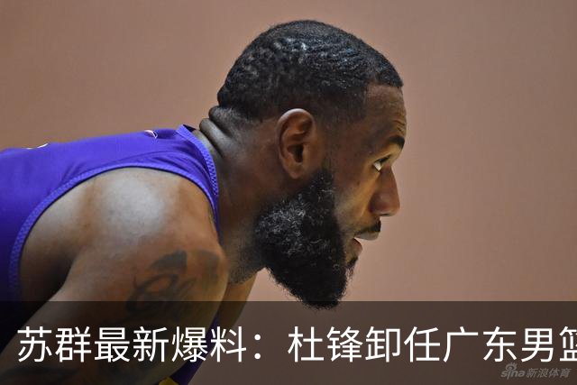 苏群最新爆料：杜锋卸任广东男篮主帅，俱乐部或将聘外教，焦泊乔有望留队